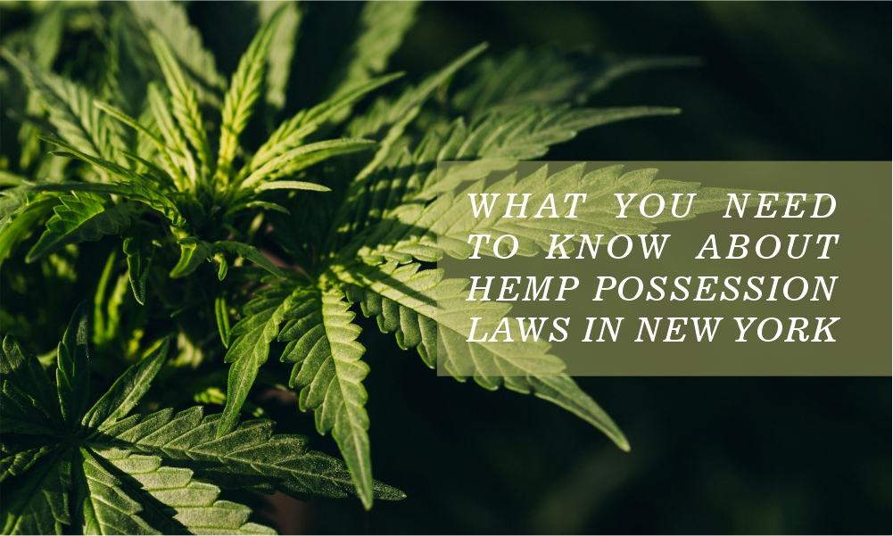 Hemp Possession Laws in New York